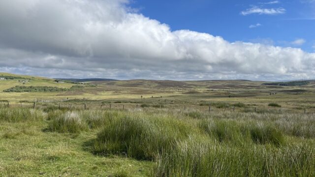 Looking east x