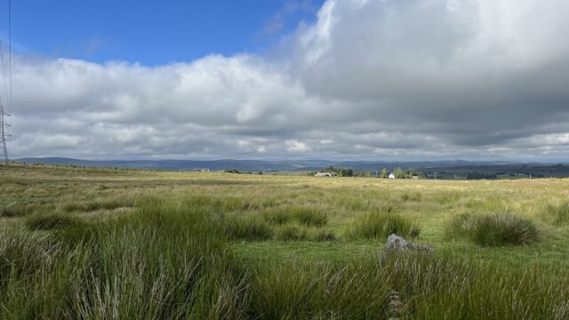 Looking south x