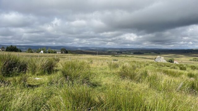 Looking west x