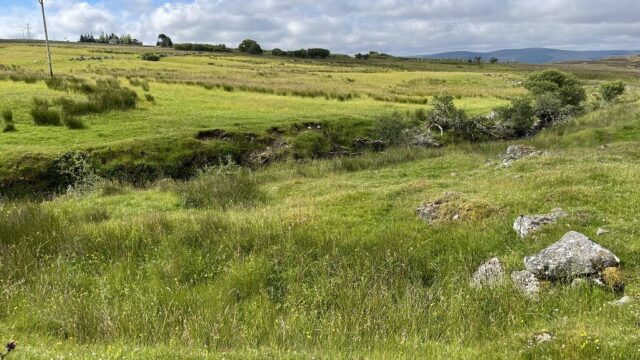 Lower field x