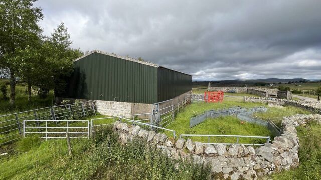 Shed view x