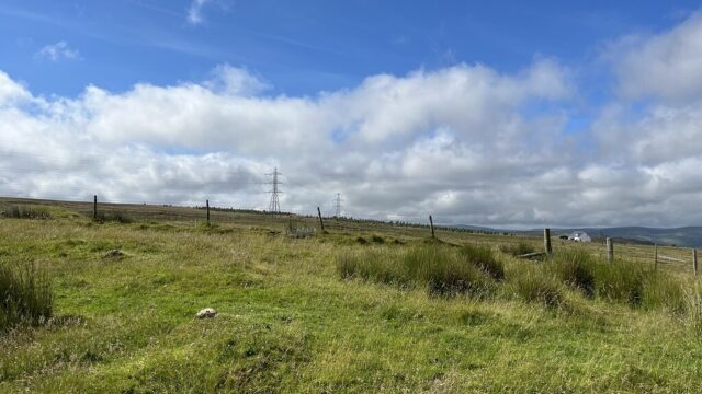 View south x