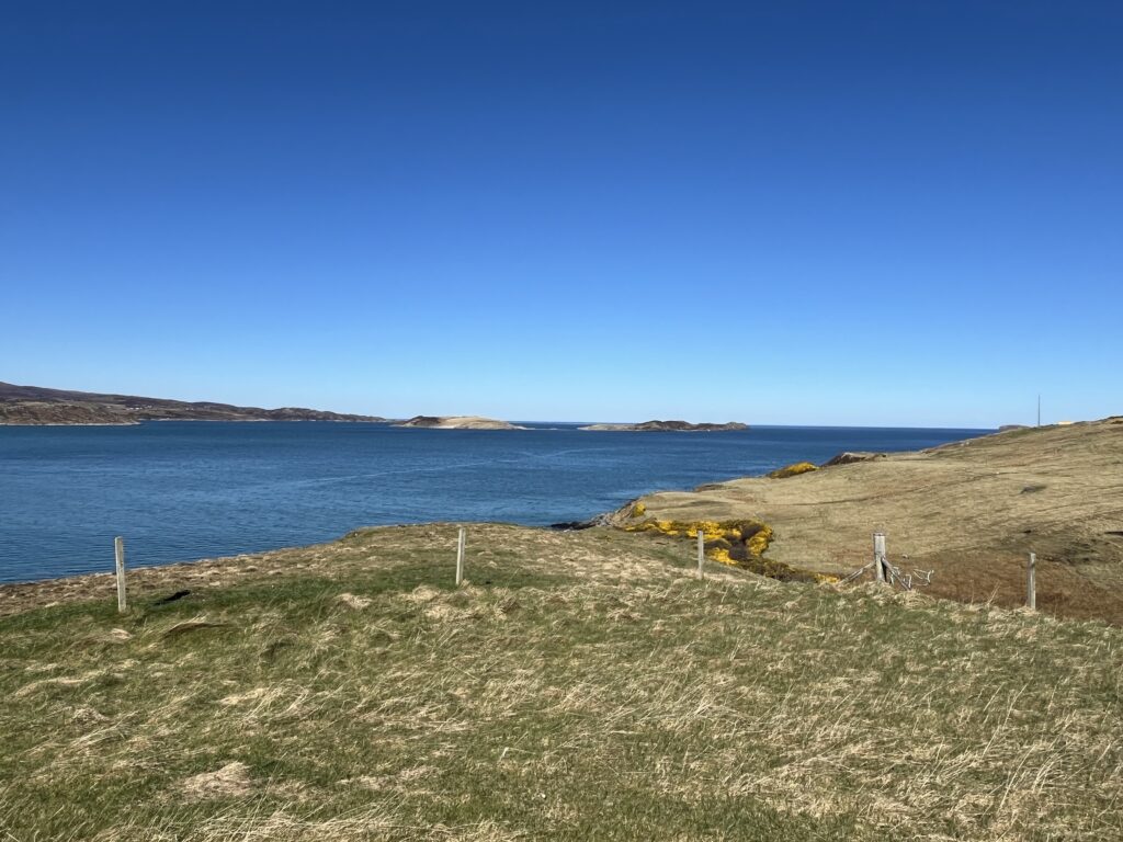 View south west