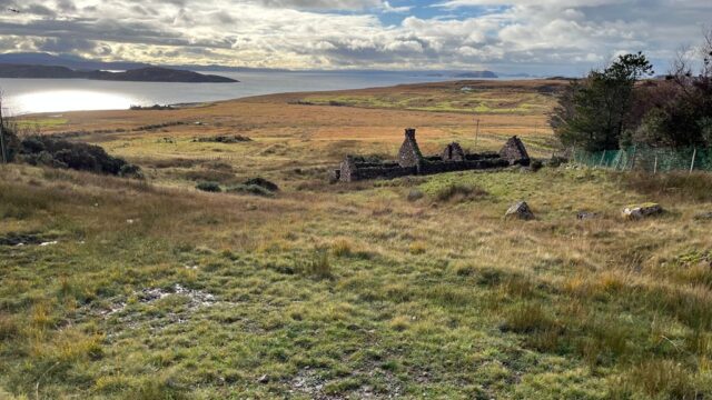 View over croft