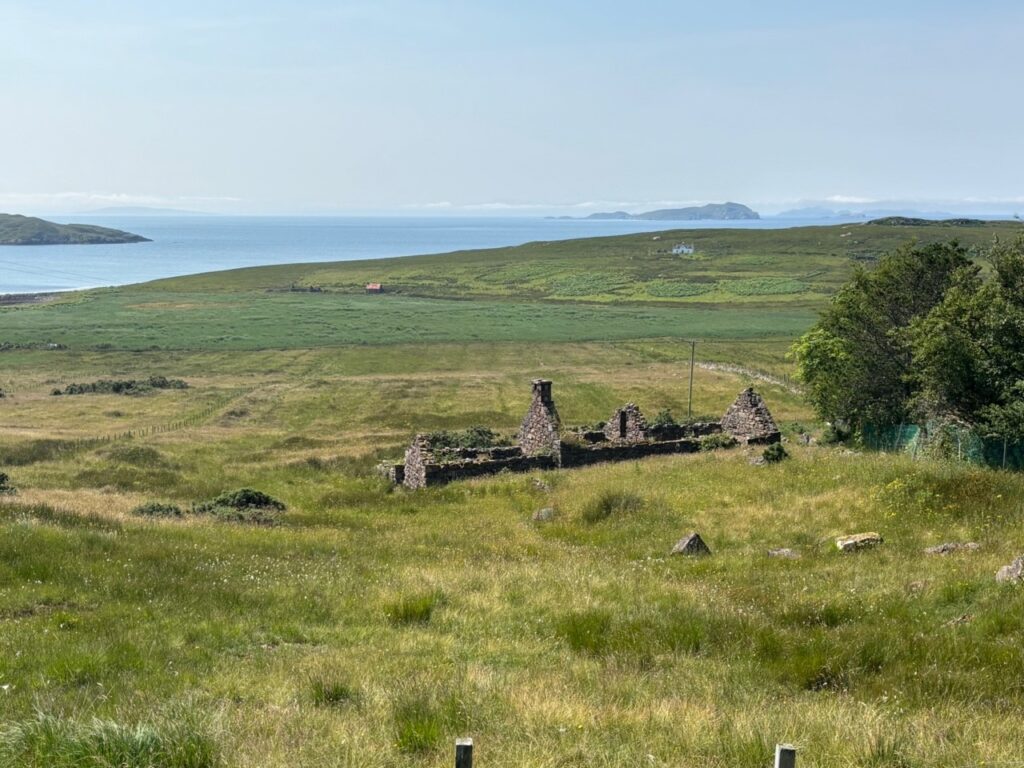 Summer at polglass